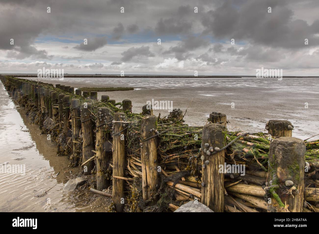 Am Deich im Beltringharder Koog Stockfoto