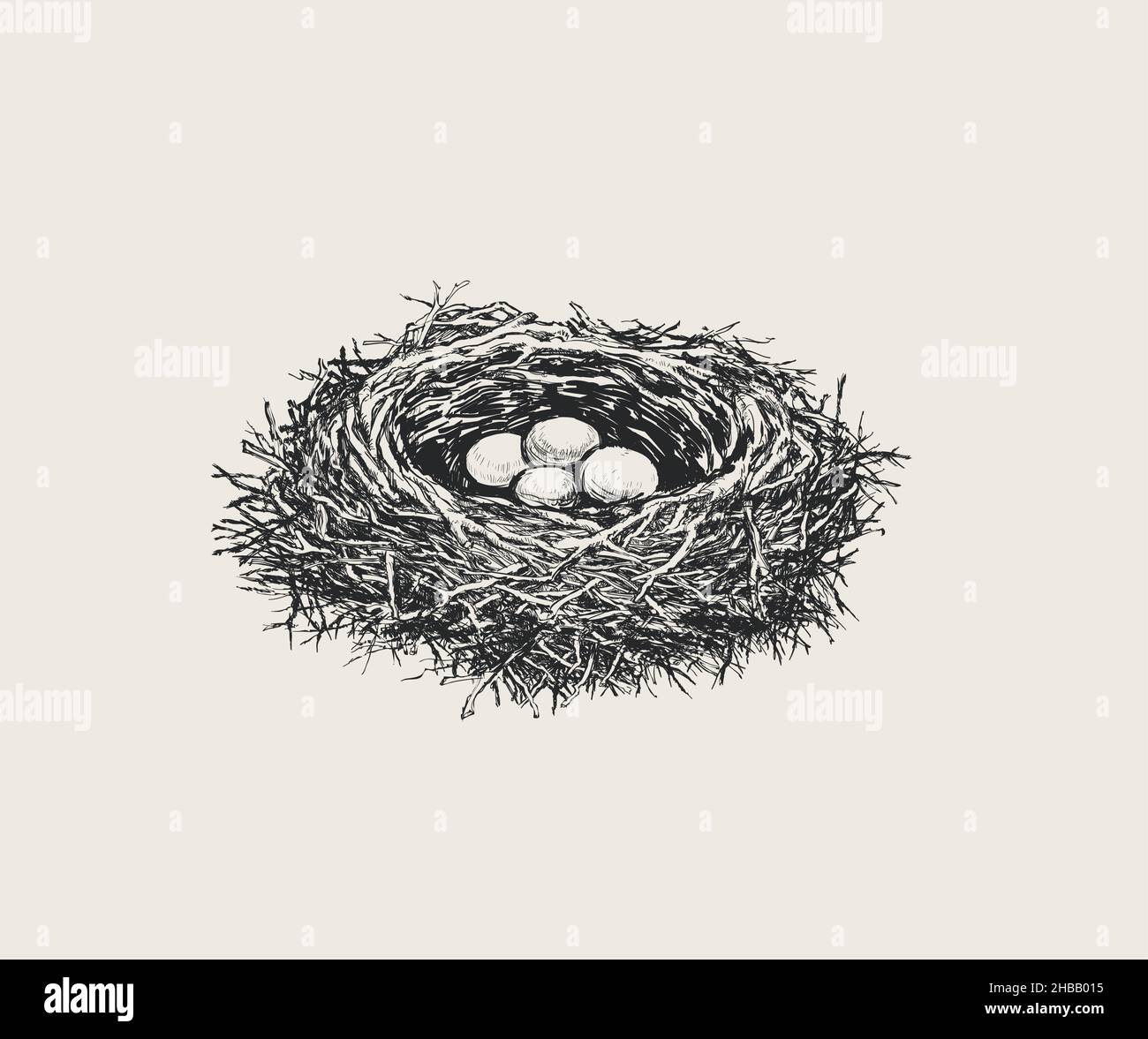 Vögel Nest mit Eiern handgezeichnete Vektor-Illustration Stock Vektor