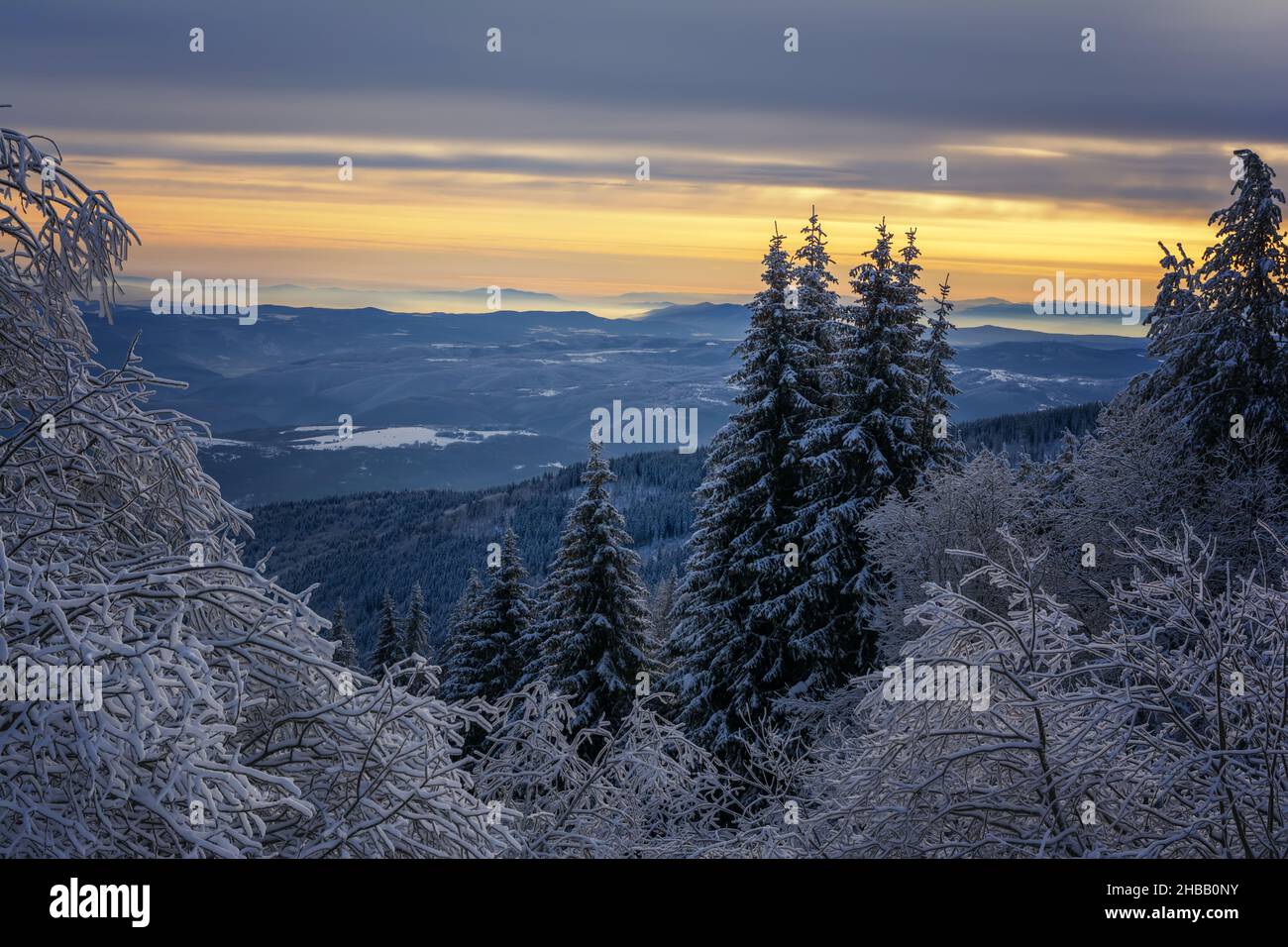 Frostiger Sonnenaufgang auf dem Berg Vitosha, Sofia, Bulgarien - wunderschöne Winterlandschaft - erste Sonnenstrahlen über Neuschnee. Stockfoto