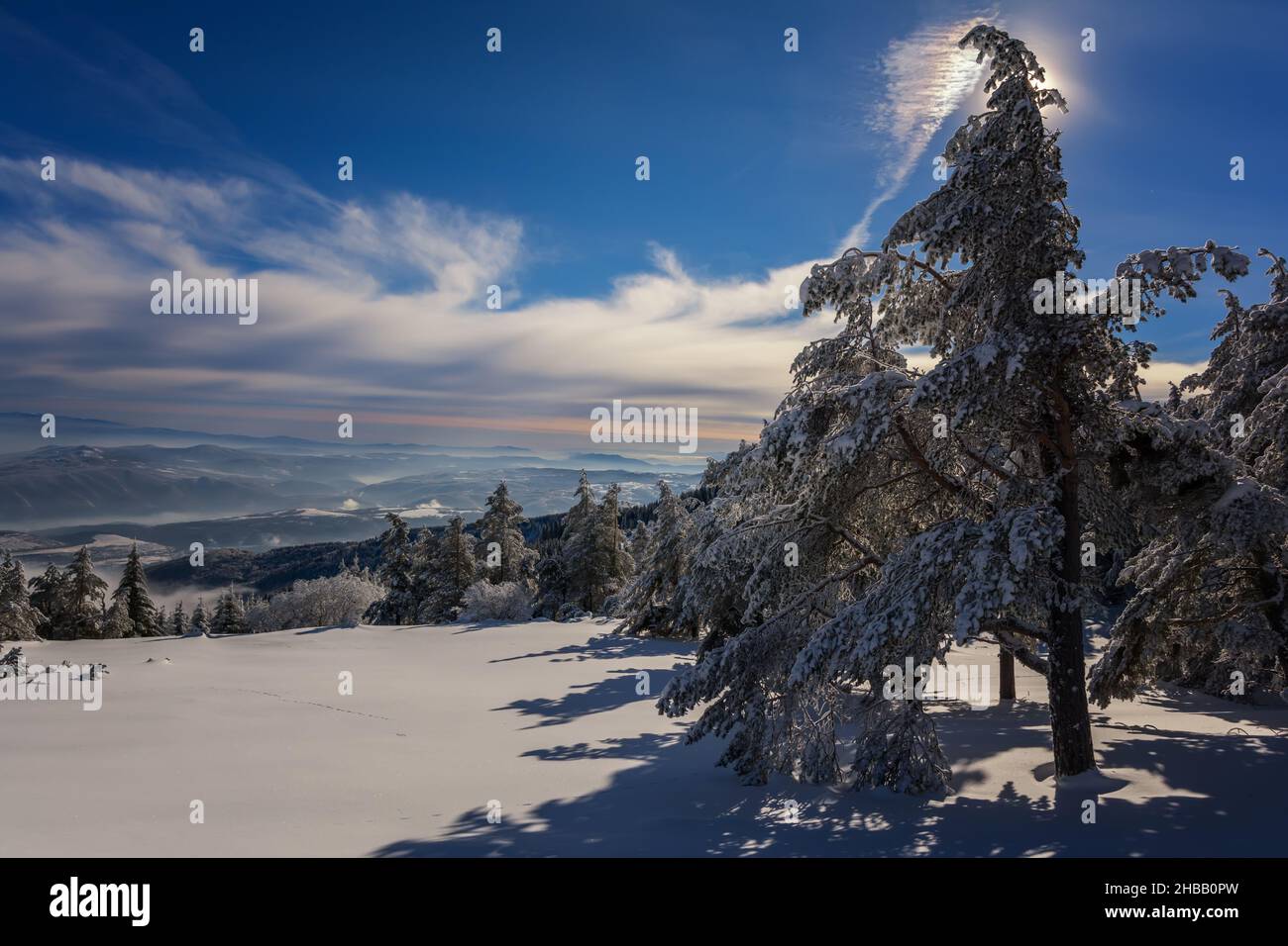 Frostiger Sonnenaufgang auf dem Berg Vitosha, Sofia, Bulgarien - wunderschöne Winterlandschaft - erste Sonnenstrahlen über Neuschnee. Stockfoto