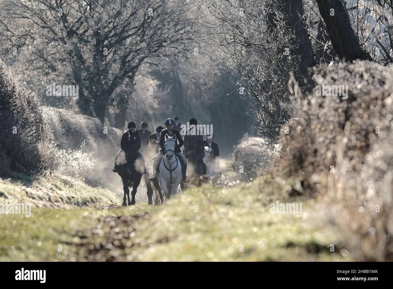 Melrose, Großbritannien. 18th Dez 2021. Die Lauderdale Foxhounds treffen sich am Samstag, den 18. Dezember 2021, im Pavillon bei Melrose. Lauderdale FH, Master and Huntsman, Mrs. Claire Bellamy MFH ( Quelle: Rob Gray/Alamy Live News Stockfoto