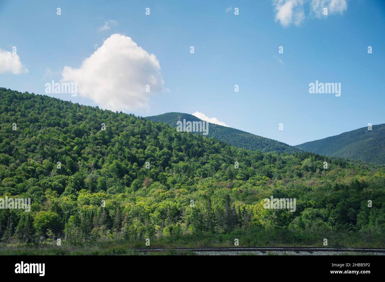 Die weiße Bergregion von New Hampshire in Bretton Woods an einem sonnigen Sommertag. Stockfoto