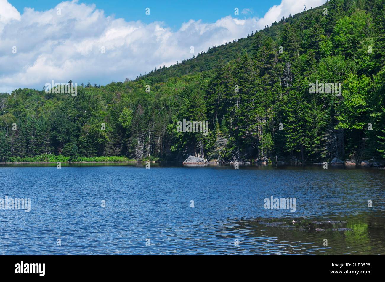 Saco Seenlandschaft in der weißen Bergregion bei Bretton Woods in New Hampshire an einem sonnigen Sommertag. Stockfoto