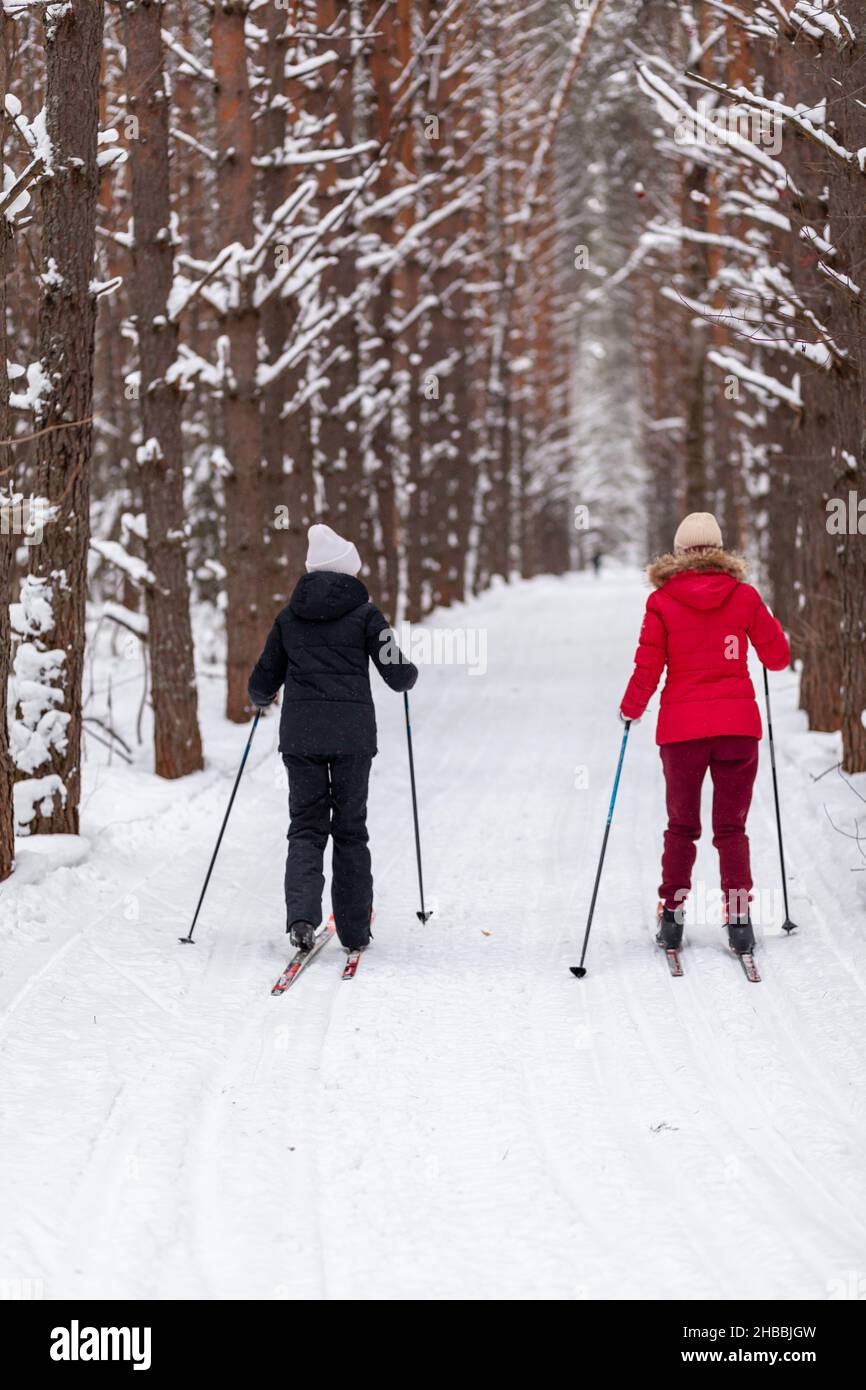 Zwei Mädchen in einer schwarz-roten Jacke fahren im Winter in einem verschneiten Wald auf einer Skipiste. Bäume in einer Reihe... Rückansicht. Skifahren in einer schönen sn Stockfoto