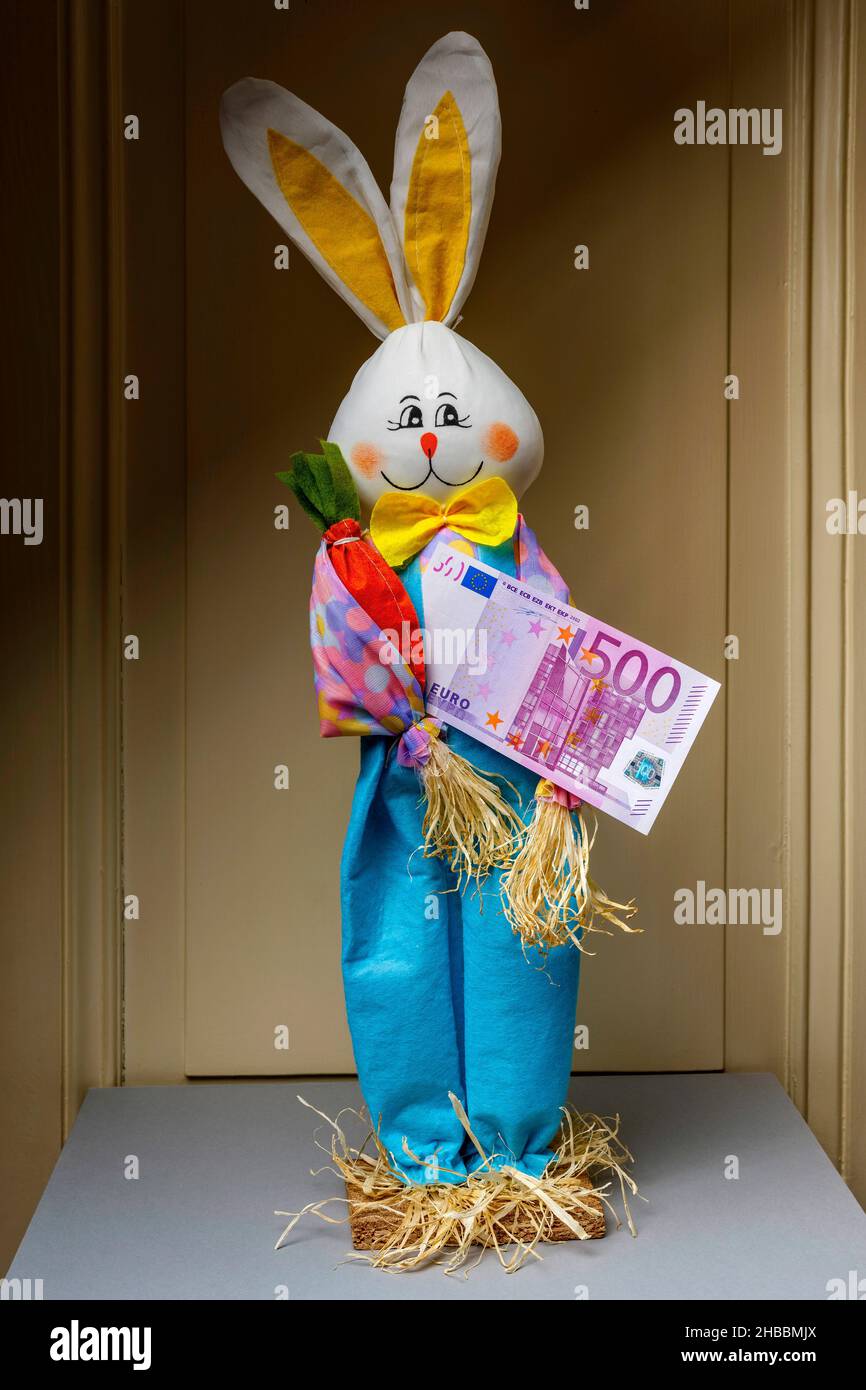 Gefülltes glückliches Kaninchen mit einer 500-Euro-Banknote, Stockfoto