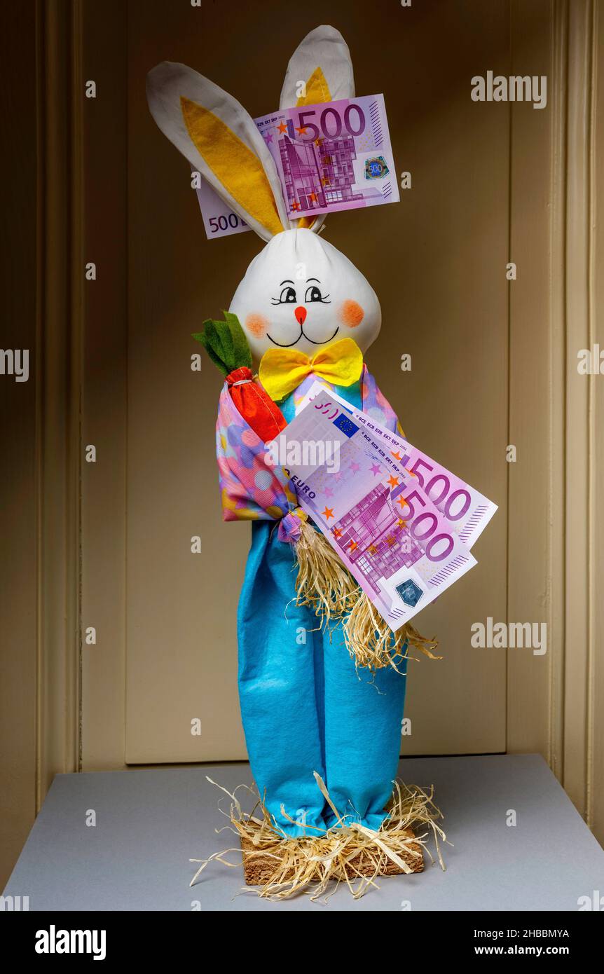 Gefülltes glückliches Kaninchen mit zwei 500-Euro-Banknoten und einer 500-Euro-Banknote zwischen den Ohren, Stockfoto