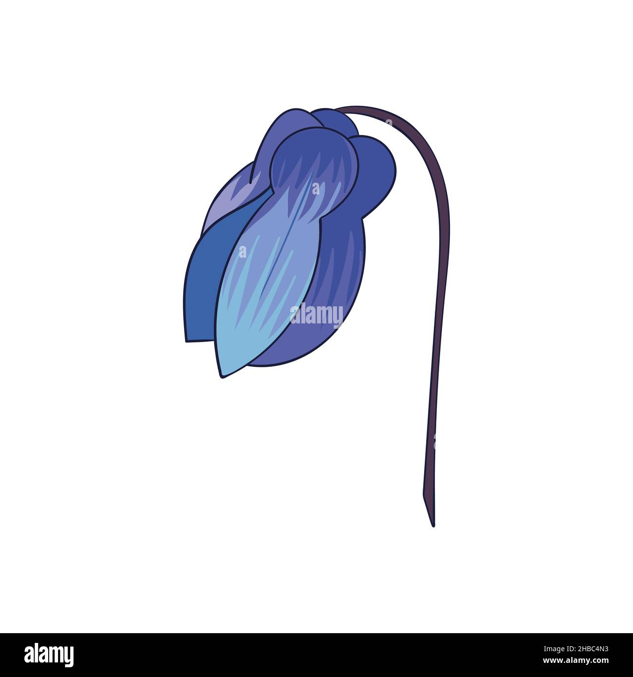 schneeglöckchen-Proleska-Blume. Scilla. Die erste Frühlingsblume. vektorzeichnung in Farbe, isoliert. Stock Vektor