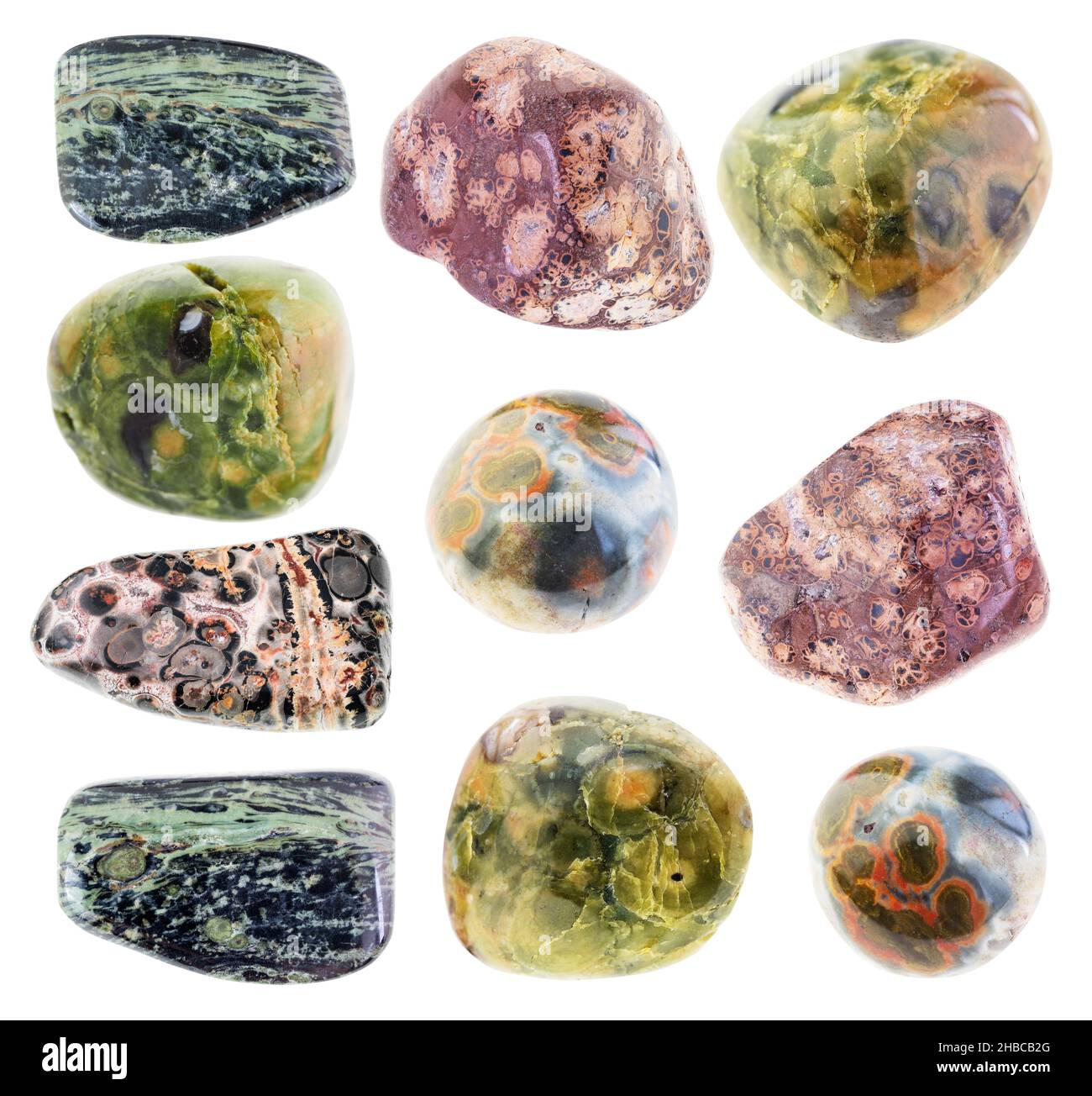 Set aus verschiedenen orbiculären Jaspissteinen auf weißem Hintergrund Stockfoto