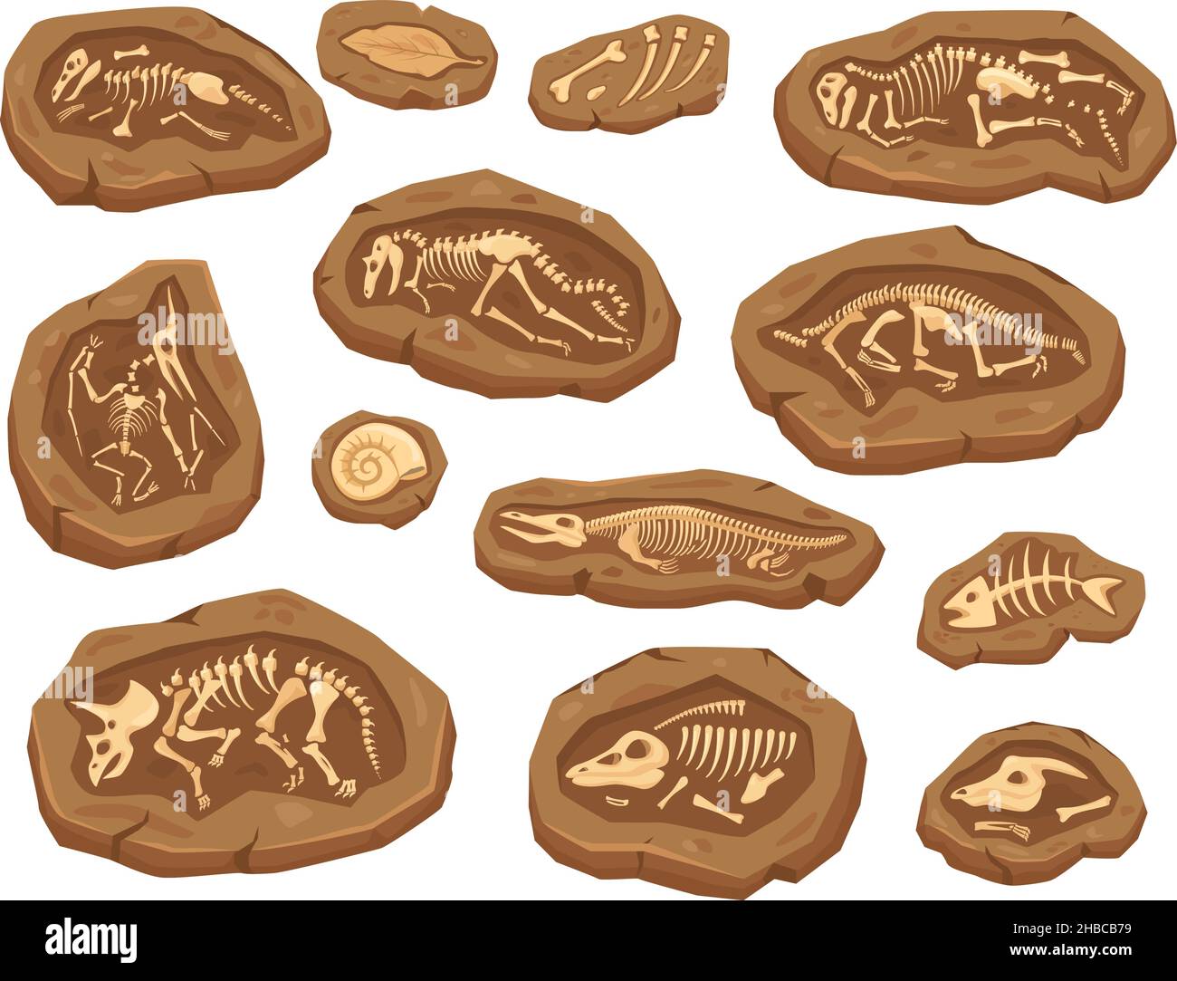 Cartoon Dinosaurier Fossilien, alte Triceratops Dinosaurier Skelett