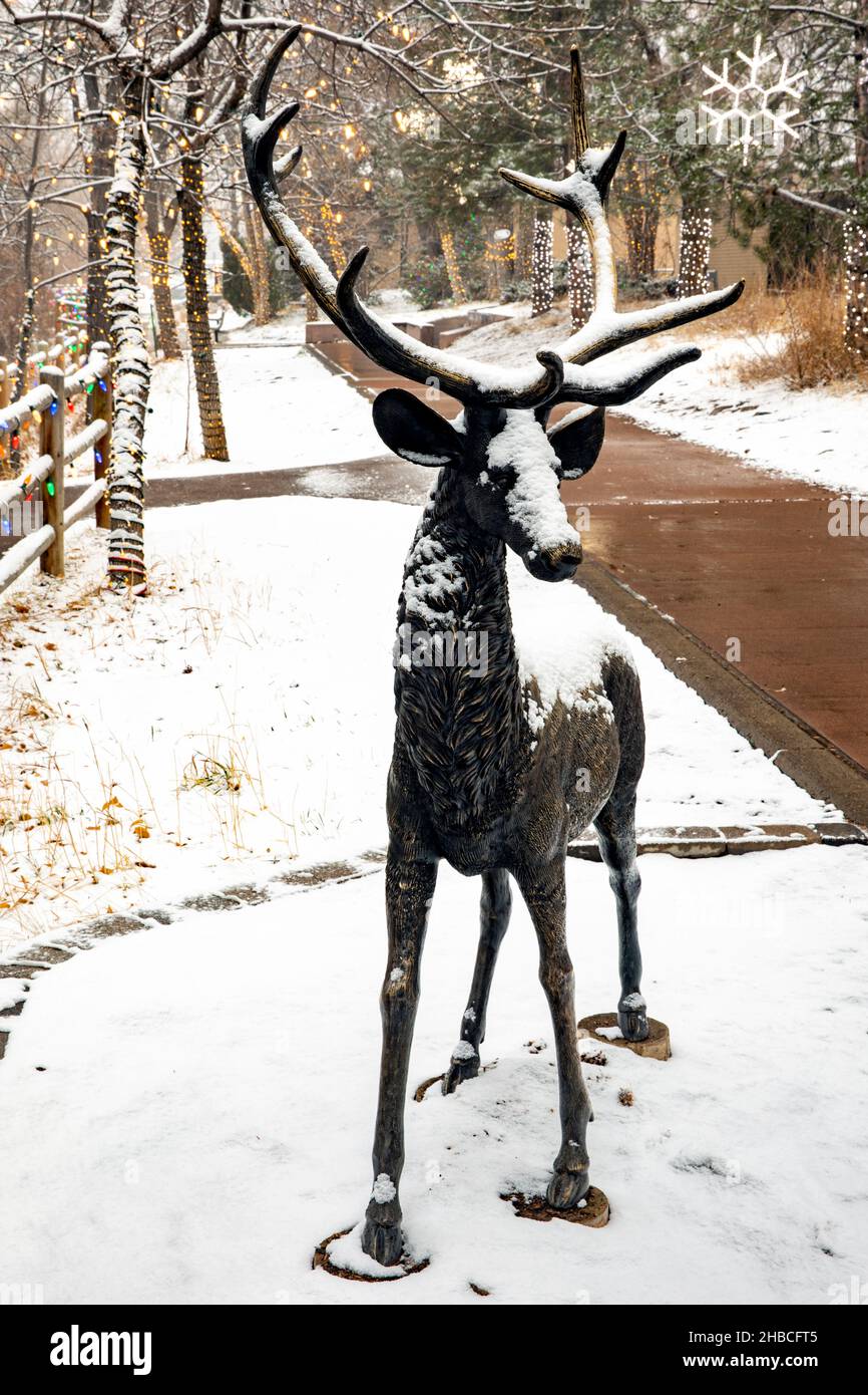 Ein Hirsch von Steven Bennetts Bronzestatue mit zwei Hirschen auf dem Clear Creek Trail - Golden, Colorado, USA Stockfoto