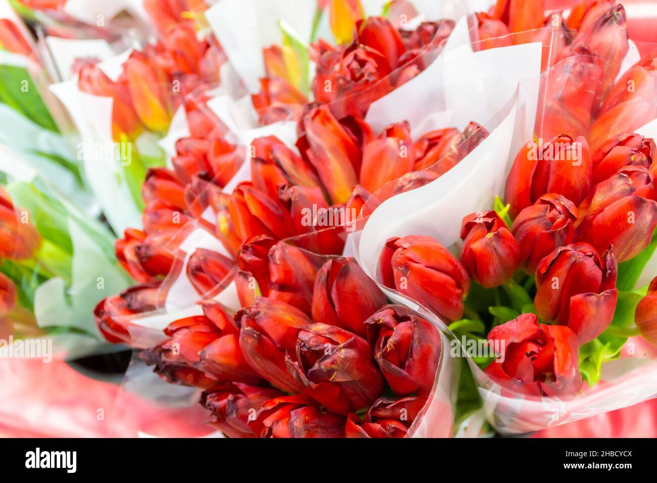 Überschüssige Blumensträuße verwelkt im Laden und unterliegen Abschreibung und anschließende Entsorgung, selektive Fokus Stockfoto