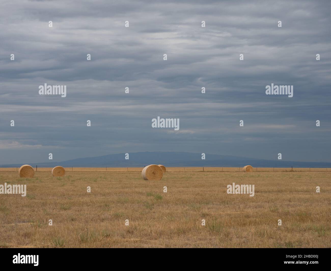 Feld mit großen runden Heuballen in Montana, mit Sturmwolken darüber. Das Bild verfügt über Kopierspeicher. Stockfoto