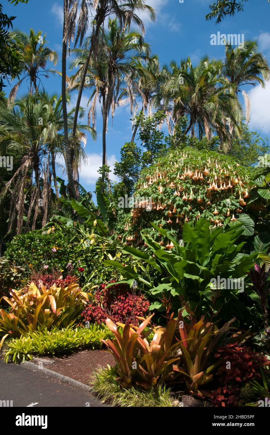 Sydney Australien, Gartenlandschaft mit Farben und Strukturen Stockfoto