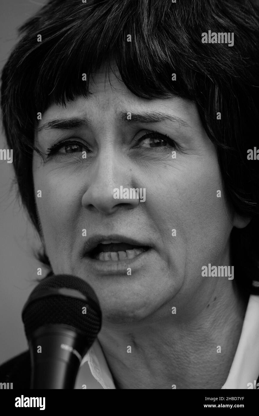 Dez 2, 2021-Seoul, Südkorea-Christine Lord of Brithsh Activist Hold She's Son Picture during an Mad Cow Disease Rallye against the World Government at Seoul, South Korea, in this photos taken date is Nov 13, 2008. Christine Lord ist die Mutter des CJD-Opfers Andrew Black. Stockfoto