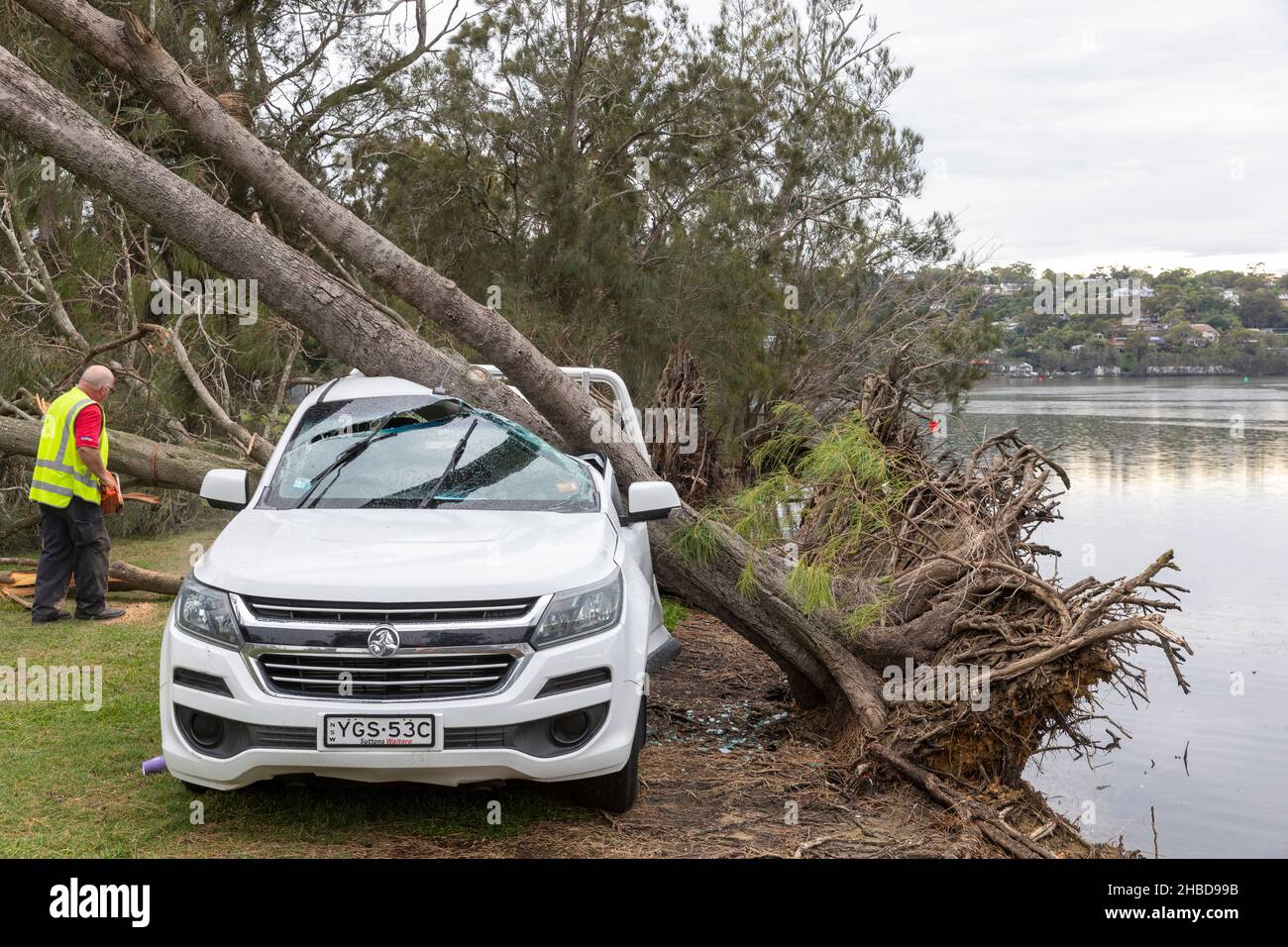 Narrabeen, Sydney, Australien. 19th Dez 2021. Narrabeen, Sydney, Australien. 19th Dez 2021. Ein Freak-Sturm brachte Bäume und Stromleitungen an den nördlichen Stränden Sydneys zum Erliegen, eine Dame ist gestorben und andere sind kritisch, Rettungsdienste und Zivilangestellte am Ort des umgestürzten Baumes, der eine Dame in der Nähe des Narrabeen Surf Club tötete. Quelle: martin Berry/Alamy Live News Stockfoto