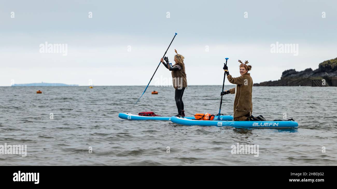 North Berwick, East Lothian, Schottland, Vereinigtes Königreich, 19th. Dezember 2021. Frauen paddeln in Weihnachtskostümen Stockfoto