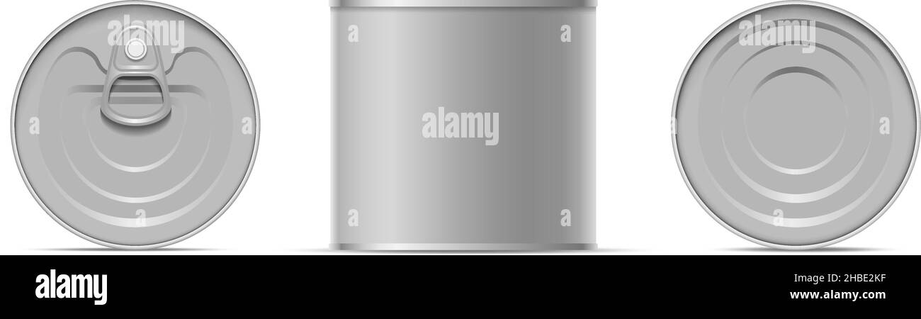 Metallic-Dose verpackt Stock Vektor