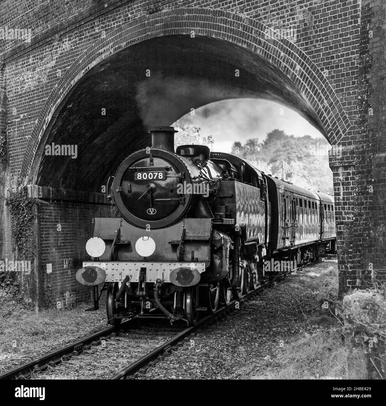 Klasse 4MT Standard Tank 80078 führt einen Zug auf der Spa Valley Railway, Kent Stockfoto