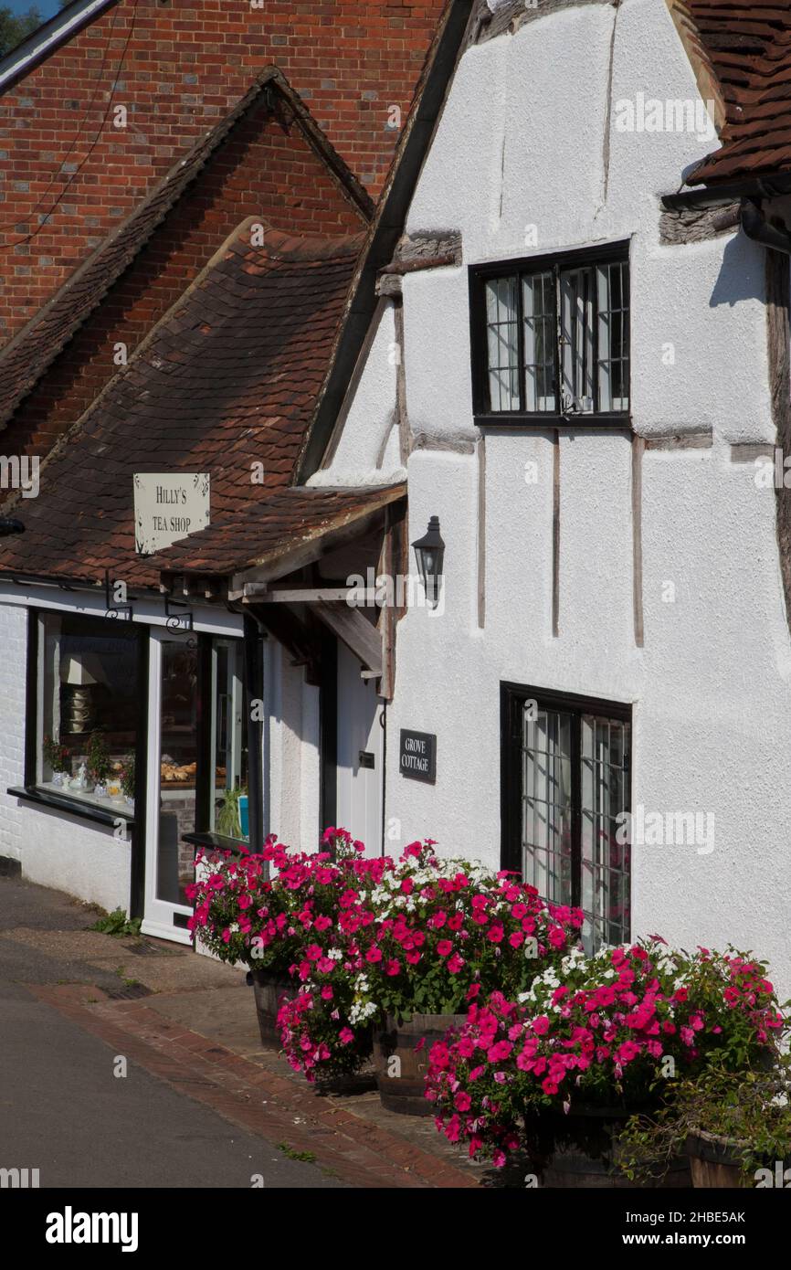 Dorfhäuser und Teestube im Dorf Shere, Surrey, England Stockfoto