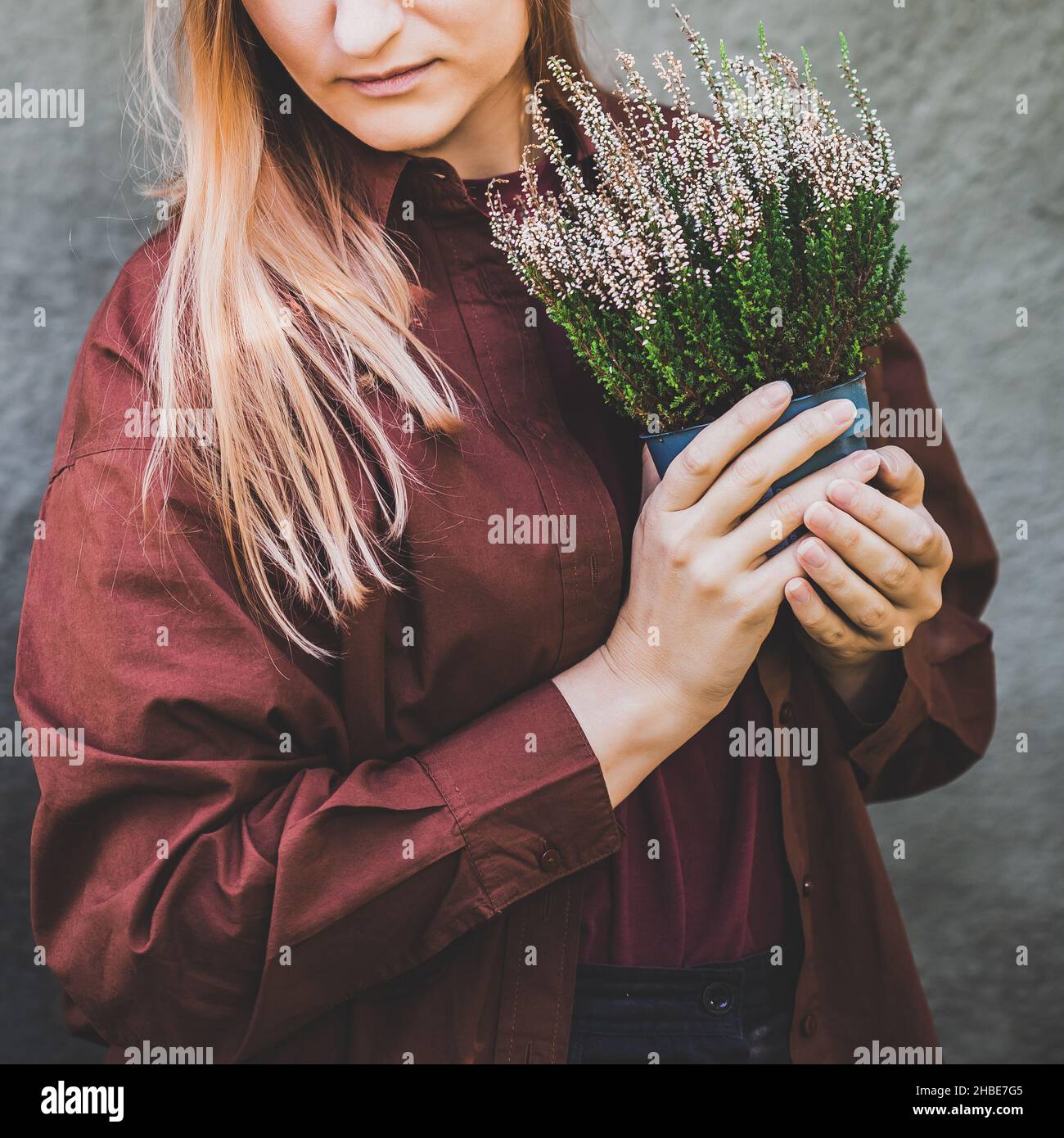 Weiße Frau, die einen Topf mit weißem Heidekraut in den Händen hält. Home Gartenarbeit, Hausdekoration mit saisonalen Herbstpflanzen. Stockfoto