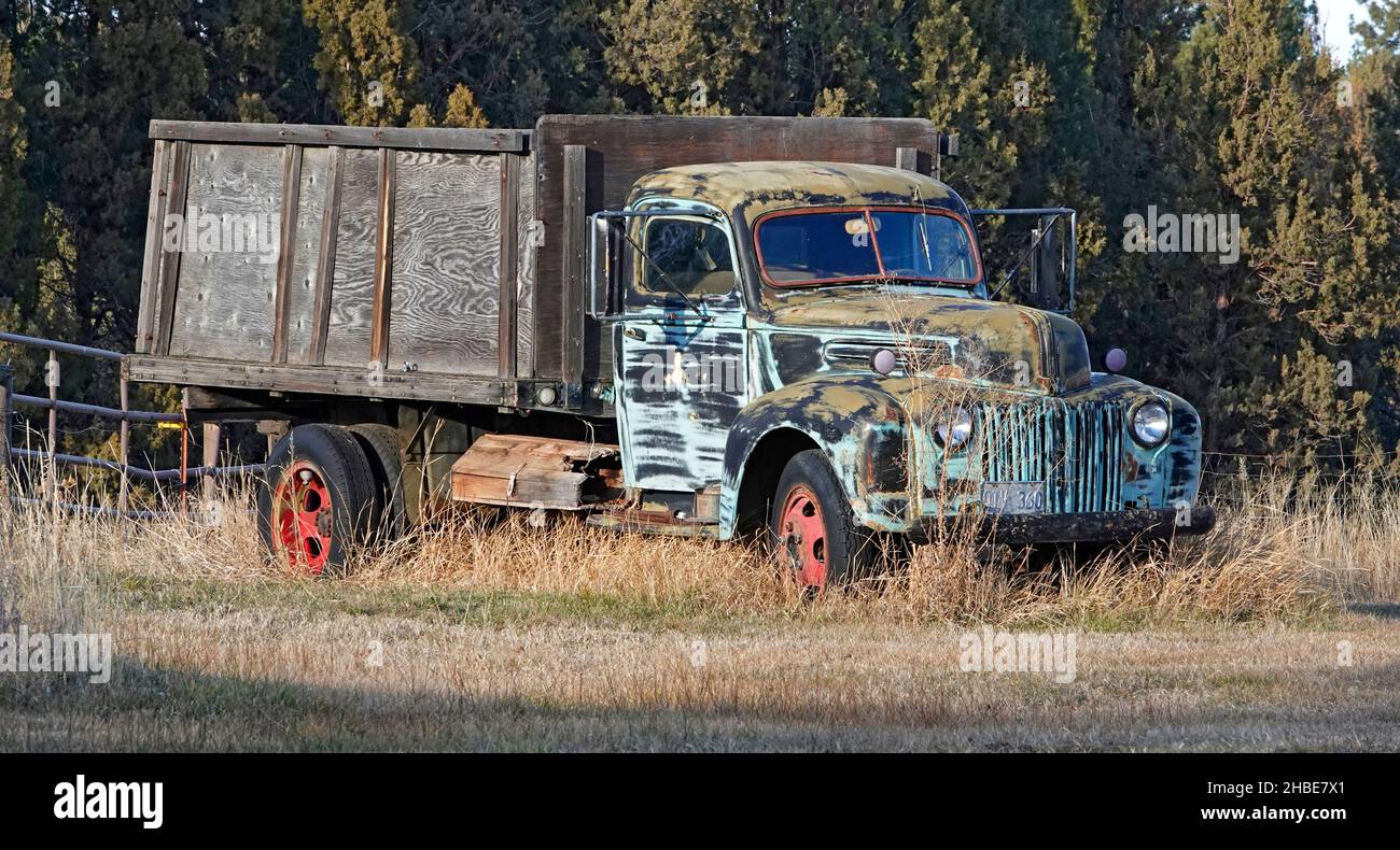 Porträt eines Chevrolet-Lastwagens aus dem Jahr 1943, der auf einem Unkrautfeld in der Nähe der Stadt Bend, Oregon, aufgegeben wurde. Stockfoto