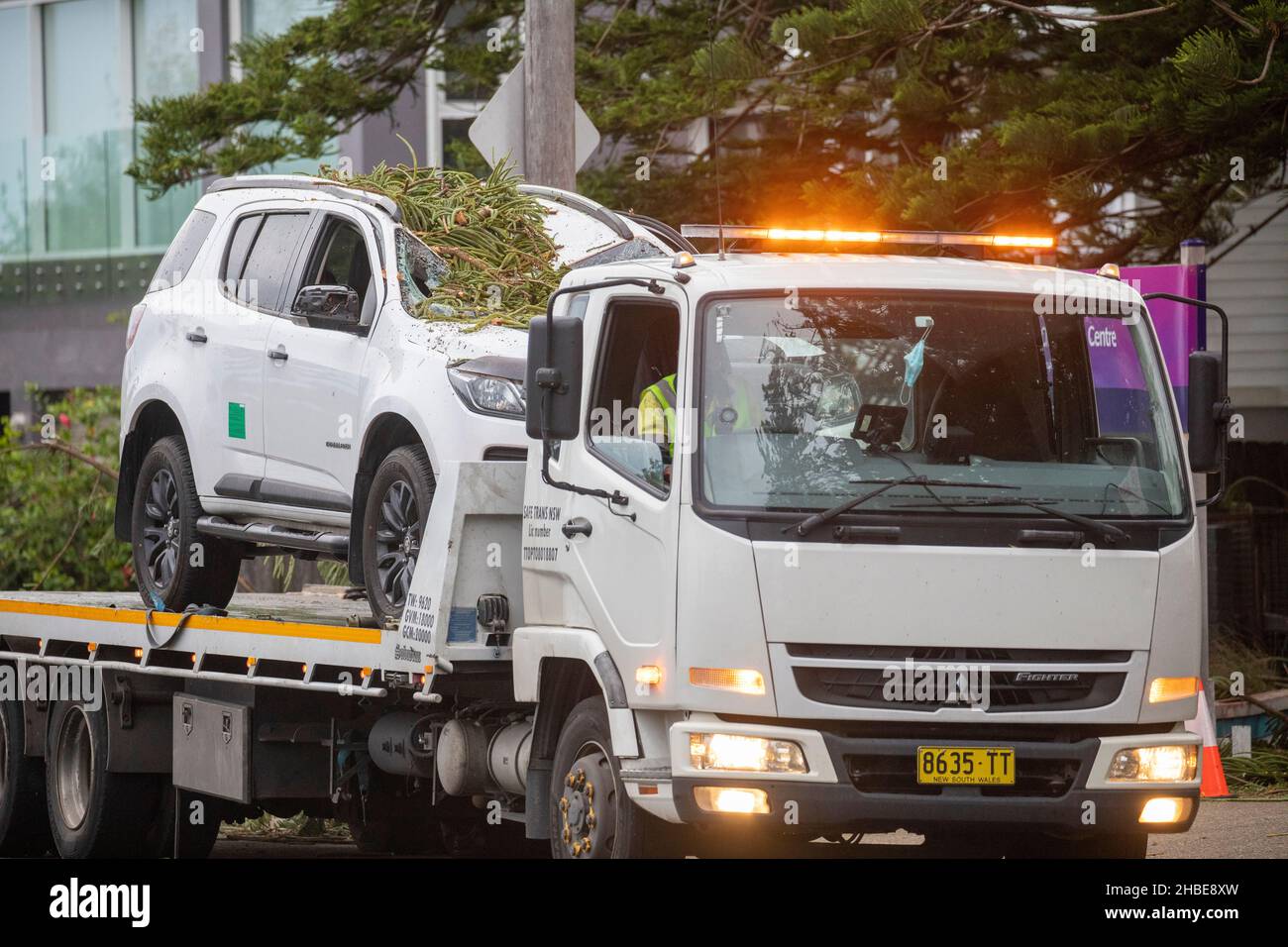 Stürme in Narrabeen Dezember 2021, gefallene Bäume zerquetschen das Dach eines Autos, das von einem Abschleppwagen wegtransportiert wird, Sydney, NSW, Australien Stockfoto