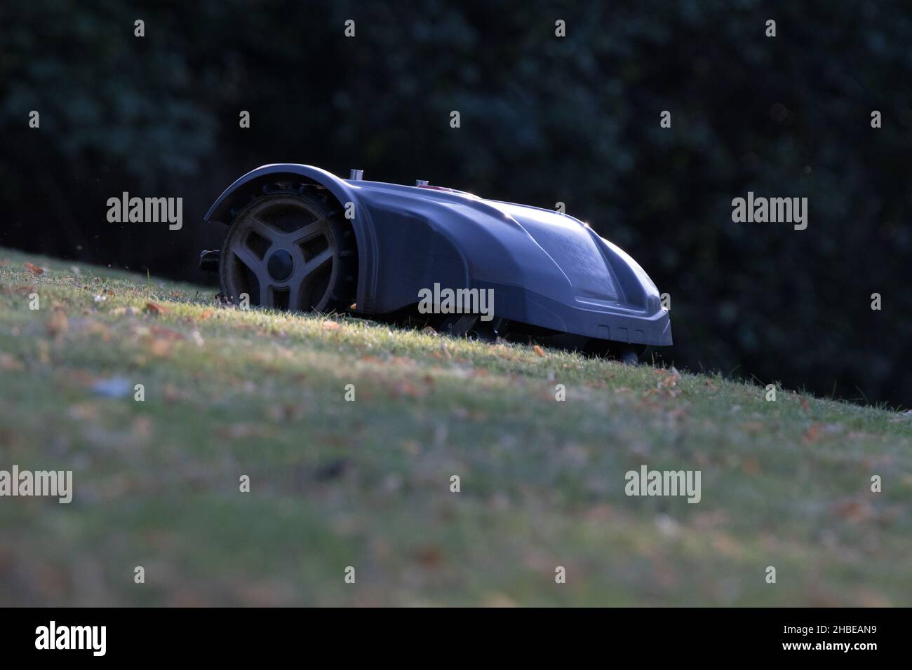 Mähroboter Stockfoto