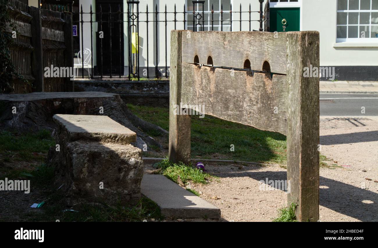 Fortpflanzung Holzdorfbestände Strafvorrichtung in Christchurch Dorset UK Stockfoto