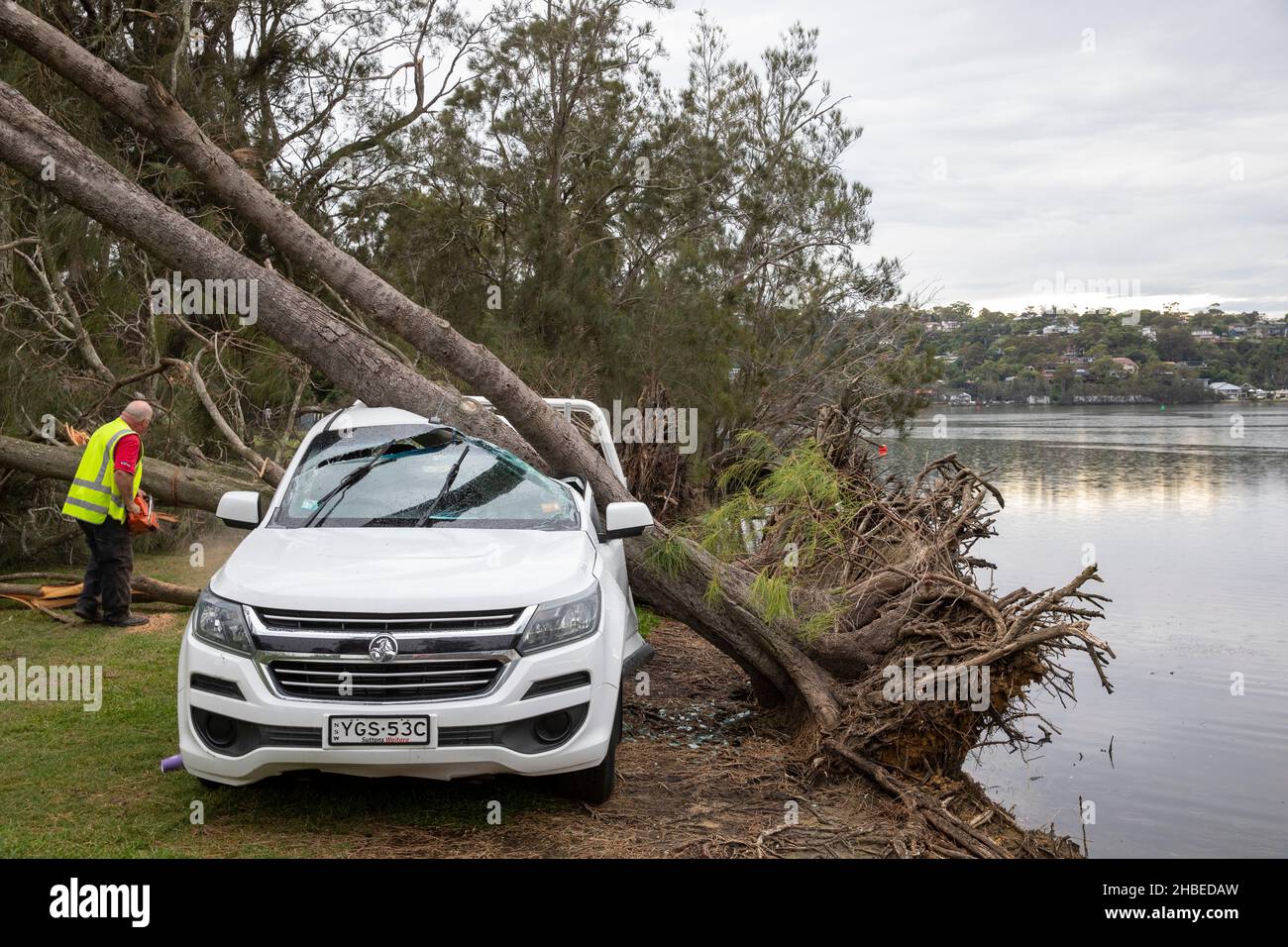Ein verrückter Sommersturm trifft die nördlichen Strände von Sydney, den Narrabeen-See mit Bäumen und das Auto wird von einem fallenden Baum zerkleinert, Sydney, NSW, Australien Stockfoto