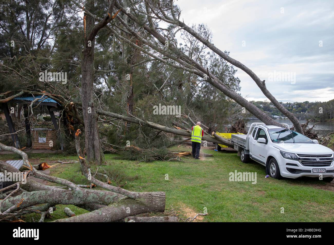 Ein verrückter Sommersturm trifft die nördlichen Strände von Sydney, den Narrabeen-See mit Bäumen und das Auto wird von einem fallenden Baum zerkleinert, Sydney, NSW, Australien Stockfoto
