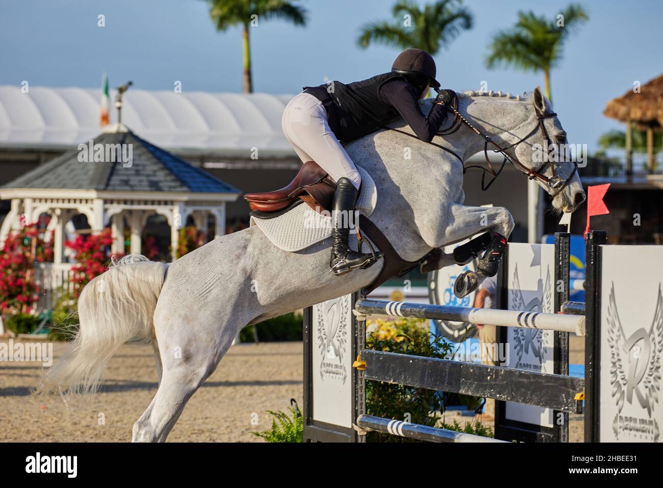 Wellington, Florida, USA. 19th. Dezember 2021. Beim Vita Flex Grand Prix springen Sie über das Hindernis. High Junior Jumper Stake. Hoher Amateur-Jumper-Einsatz. Mittlerer Junior-Jumper-Einsatz. Mittelgroßer Amateur-Jumper-Einsatz. Großer Preis. Kredit: Yaroslav Sabitov/YES Market Media/Alamy Live Nachrichten Stockfoto