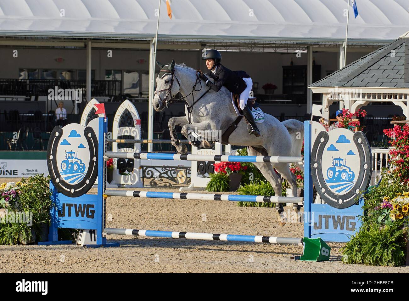 Wellington, Florida, USA. 19th. Dezember 2021. Beim Vita Flex Grand Prix springen Sie über das Hindernis. High Junior Jumper Stake. Hoher Amateur-Jumper-Einsatz. Mittlerer Junior-Jumper-Einsatz. Mittelgroßer Amateur-Jumper-Einsatz. Großer Preis. Kredit: Yaroslav Sabitov/YES Market Media/Alamy Live Nachrichten Stockfoto