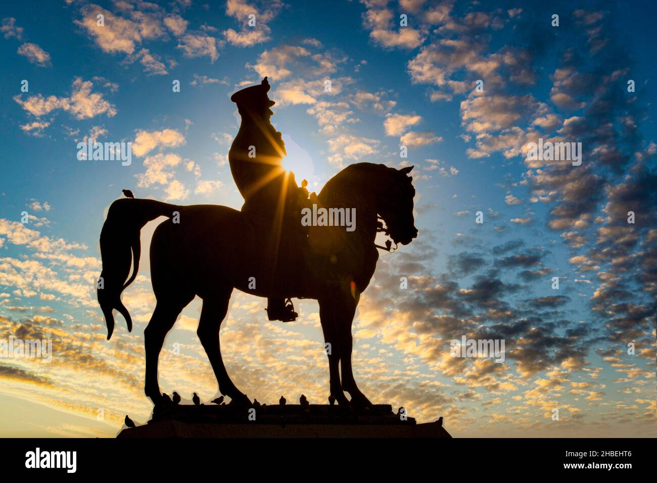 Birbirinden güzel Sülietler ve tekağaç modelleri. Stockfoto