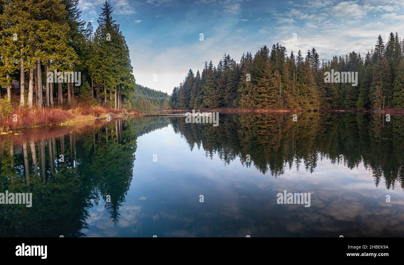 Wald- und Seenlandschaft, Loon Lake, Maple Ridge, British Columbia, Kanada Stockfoto