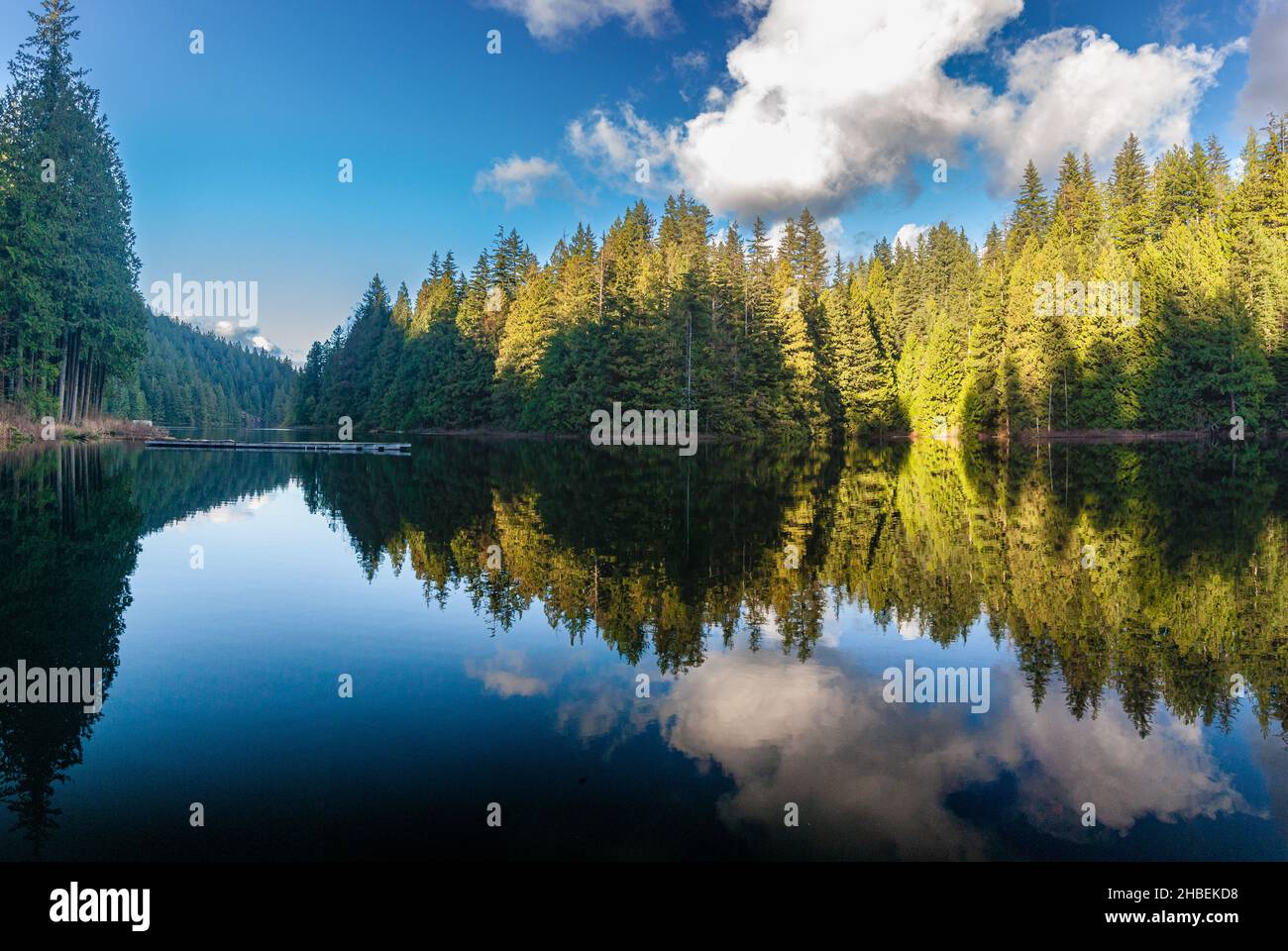 Wald- und Seenlandschaft, Loon Lake, Maple Ridge, British Columbia, Kanada Stockfoto
