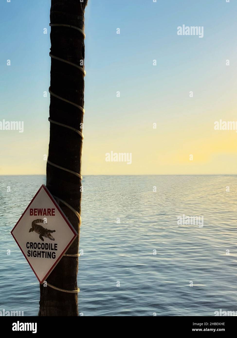 Vorsicht Krokodil Sichtung Zeichen auf einem Baum, Islamorada, Florida Keys, Florida, USA Stockfoto