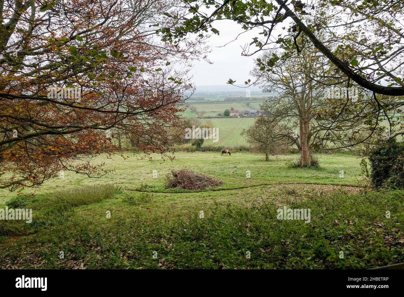 Die malerische Landschaft von Wiltshire, aufgenommen vom Kirchhof des Heiligen Kreuzes in Seend im November, Wiltshire, England, Großbritannien Stockfoto