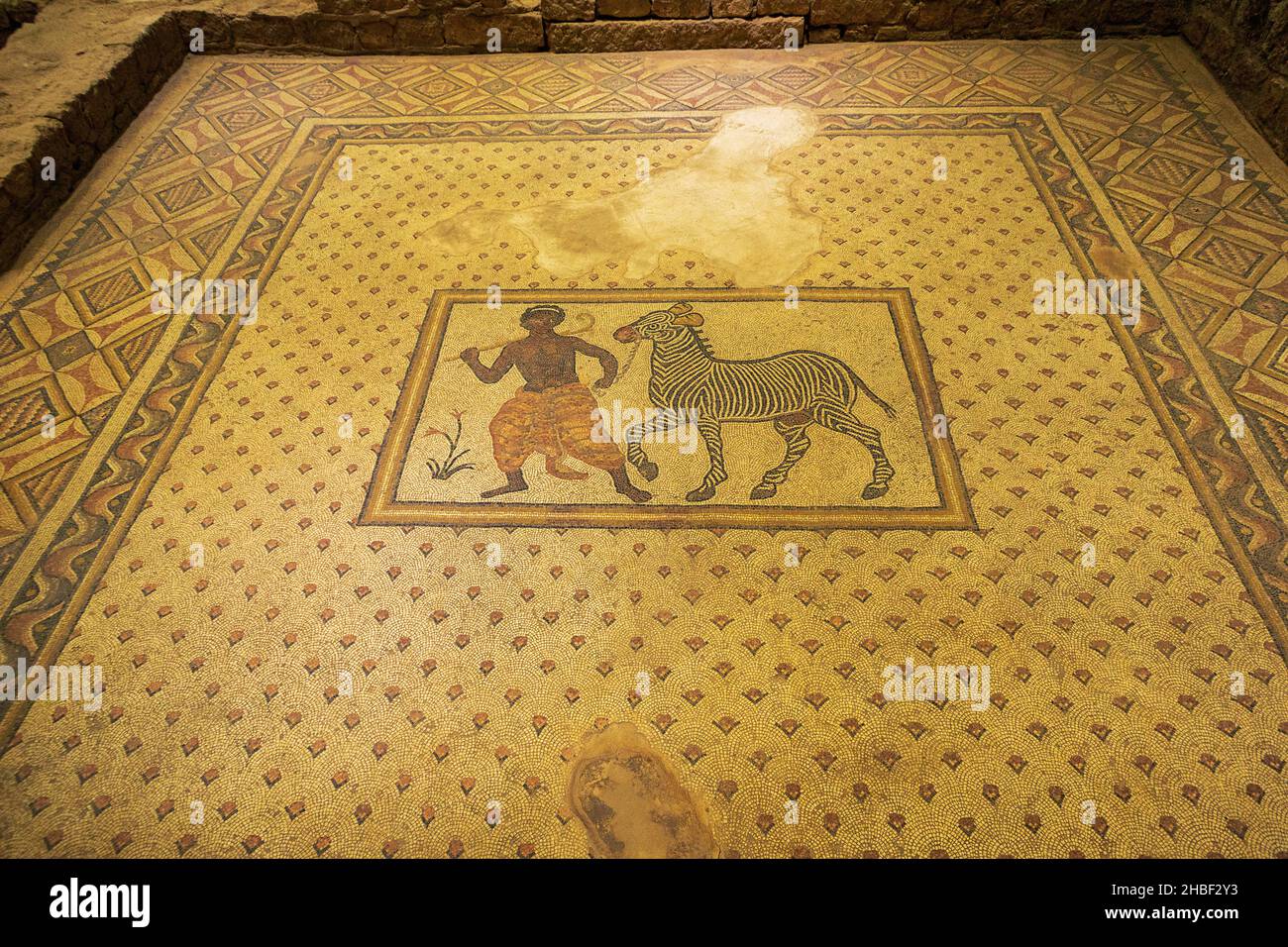 Sanliurfa Haleplibahce Mosaic Museum. Mosaiken spiegeln die Jagdszenen von Frauen, einigen Tieren und Menschen im Amazonas wider Stockfoto