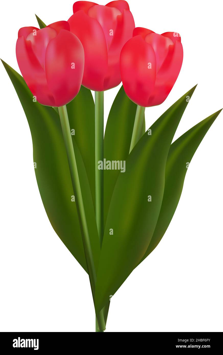 Blumenstrauß aus roten Tulpen, Vektorgrafik Stock Vektor