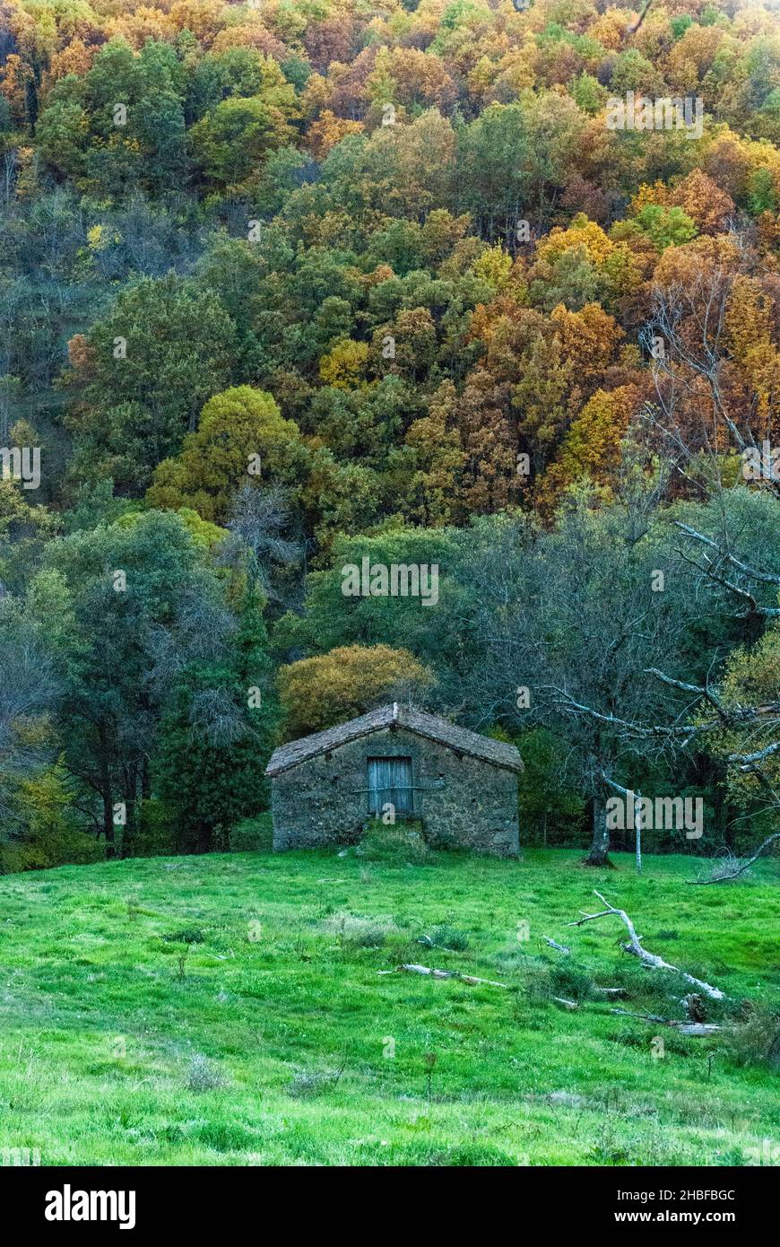 Steinhaus für die Lagerung von Werkzeugen auf grüner Wiese mit Kastanienwald im Hintergrund im Herbst vertikal Stockfoto