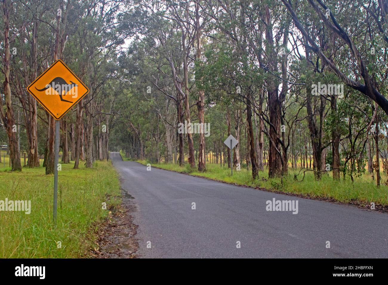Straße im Hunter Valley Stockfoto