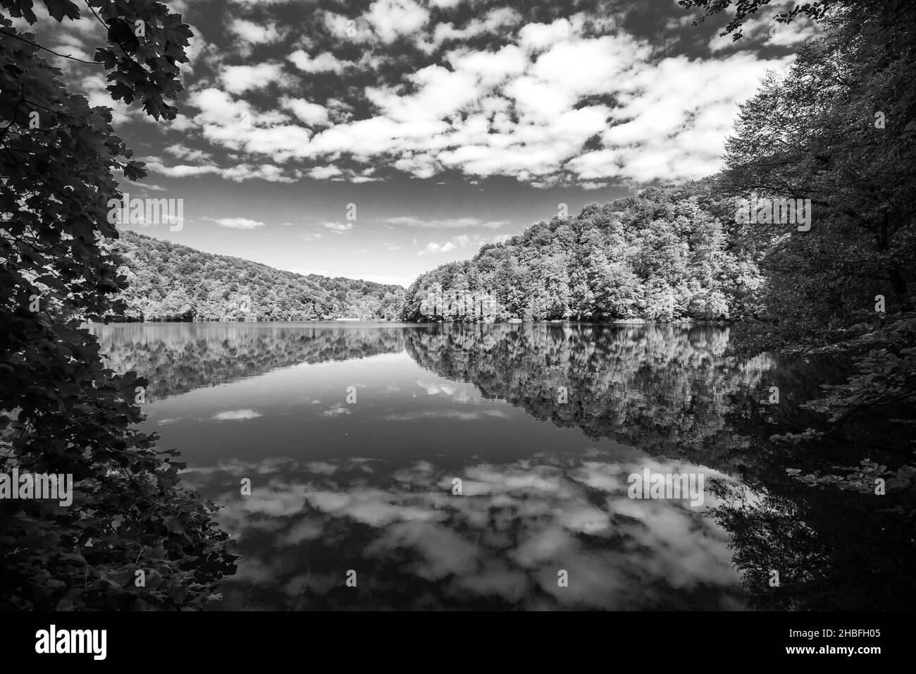 Ein landschaftlicher Blick auf eine Himmelsspiegelung im Wasser im Nationalpark Plitvicer Seen in Graustufen Stockfoto