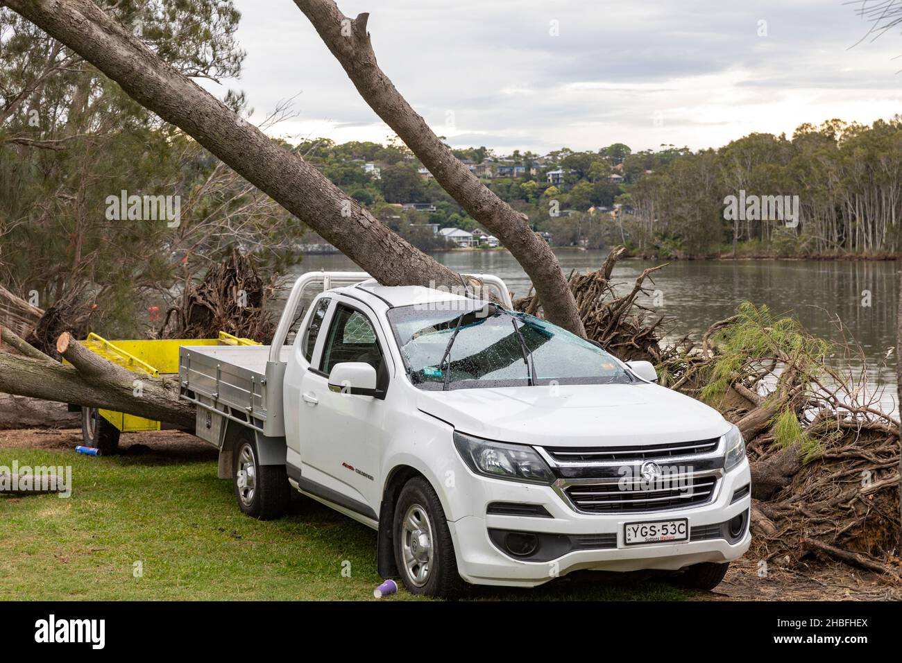 Sydney stürmt, stürmisches Wetter bringt einen Baum auf eine weiße Holden Ute neben dem narrabeen See in Sydney Northern Beaches, NSW, Australien Stockfoto