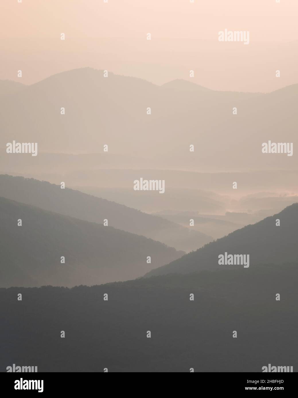 Blick über West Virginia am Morgen von der Allegheny Front in der Dolly Sods Wilderness. Stockfoto