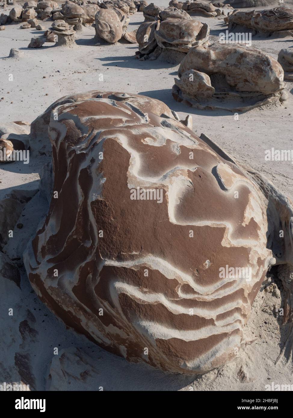 Nahaufnahme eines gebrochenen Eiersteinbrockens in einem Tal in der De-Na-Zin Wildnis oder Bisti Badlands in New Mexico. Stockfoto