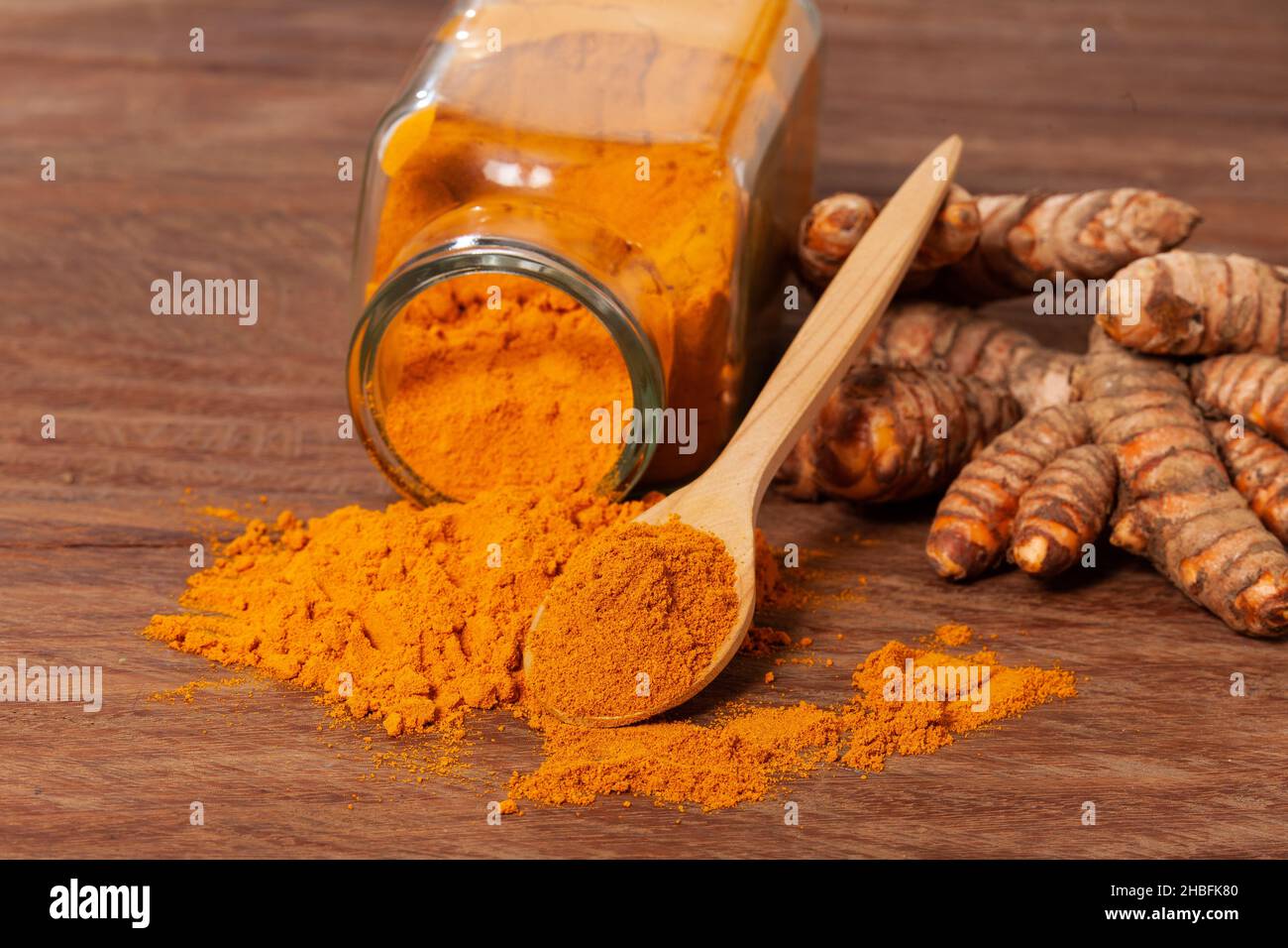 Frische Bio-Wurzel und Kurkuma Pulver - Curcuma longa Stockfoto