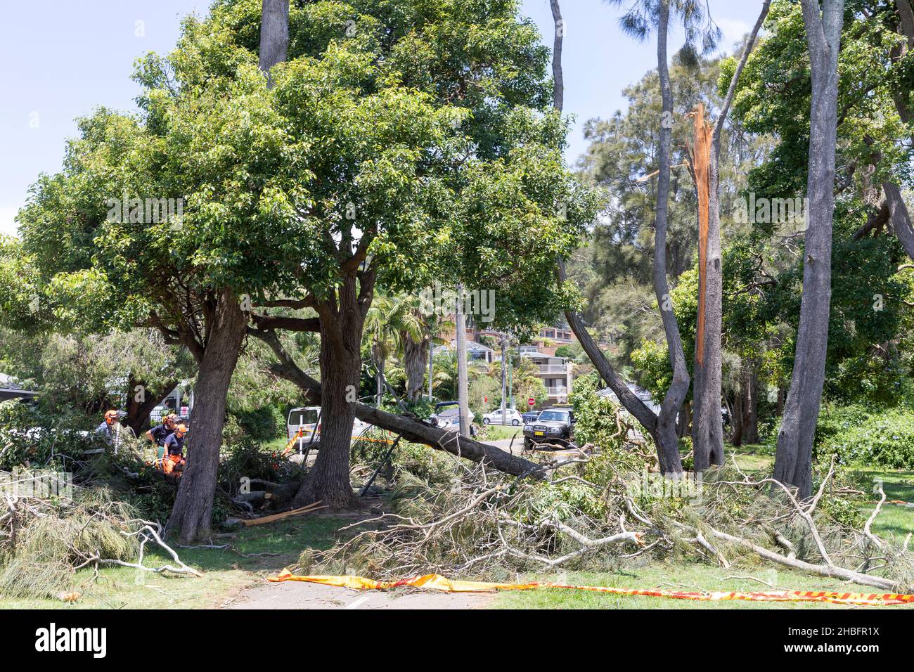 Min Cyclone bringt Sachschäden und umgestürzte Bäume nach Narrabeen an den nördlichen Stränden von Sydney, NSW, Australien Stockfoto