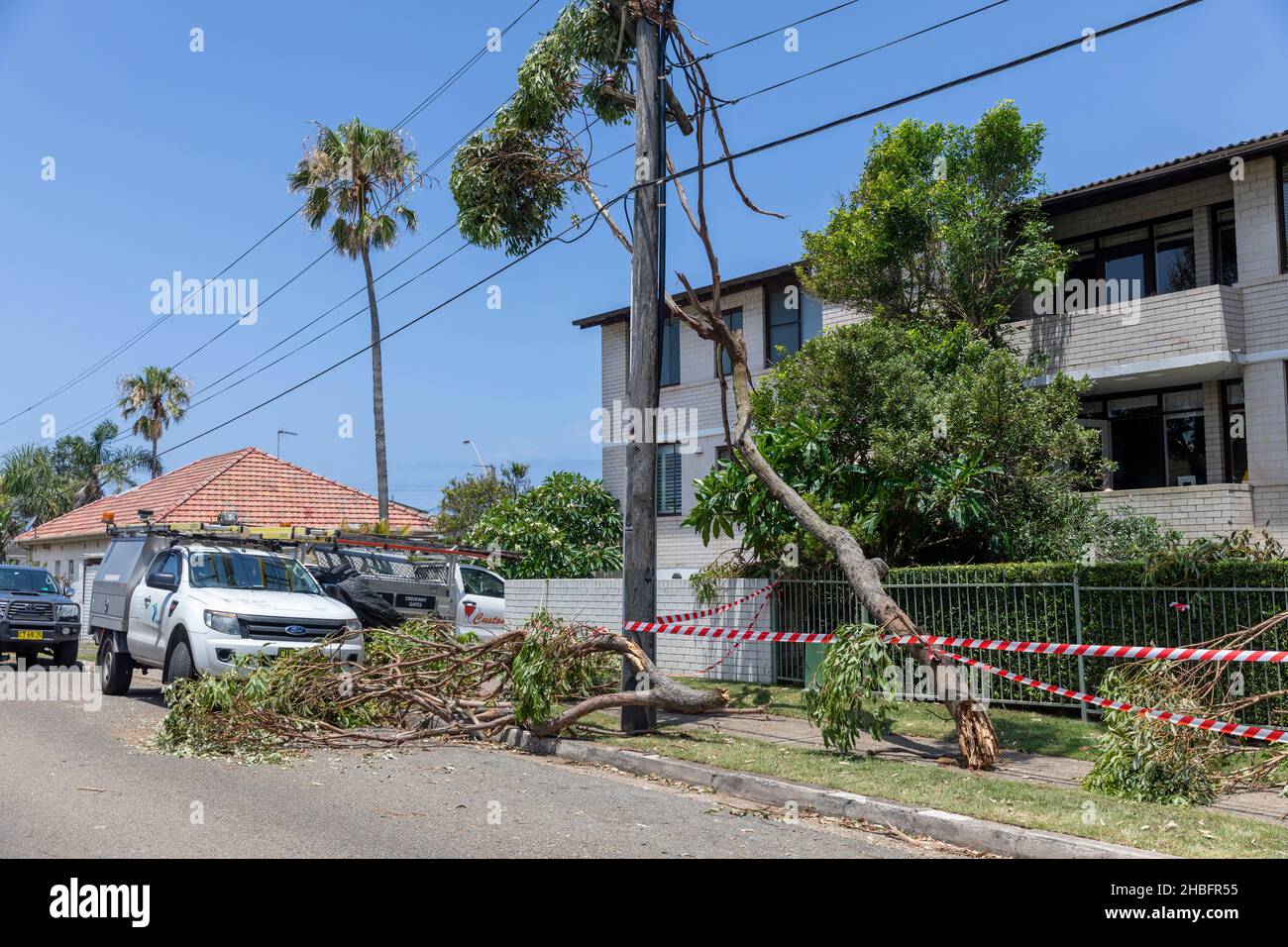 Der Mini-Zyklon in Narrabeen 2021 an den nördlichen Stränden von Sydney brachte Bäume auf Freileitungen, wobei etwa 26000 Einwohner Energie verloren Stockfoto