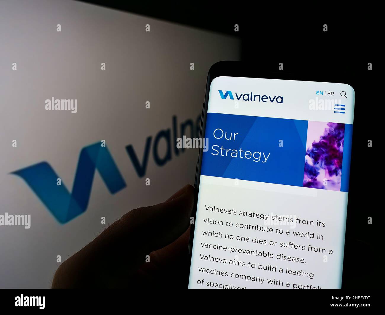 Person, die Mobiltelefon mit der Webseite des französischen Biotechnologie-Unternehmens Valneva SE auf dem Bildschirm vor dem Logo hält. Konzentrieren Sie sich auf die Mitte des Telefondisplays. Stockfoto