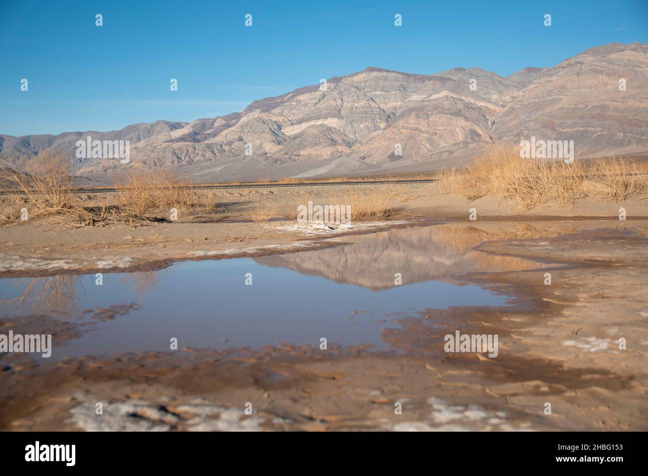 Das Panamint Valley im Death Valley National Park bietet viele interessante Sehenswürdigkeiten, wie rostige Skelette von Autos und die seltene Pfütze, die vom Regen übrig geblieben ist. Stockfoto